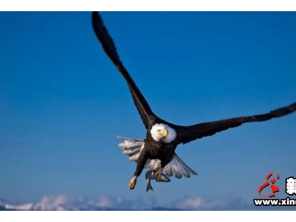 雄鷹展翅傲蒼穹！康力學(xué)院“雄鷹”管理培訓(xùn)班正式拉開帷幕