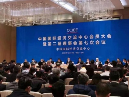 康力電梯董事長王友林榮任中國國際經濟交流中心理事