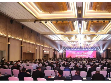 順應(yīng)發(fā)展新格局 實(shí)現(xiàn)共贏創(chuàng)未來(lái)--2021康力電梯全球合作伙伴大會(huì)成功召開(kāi)