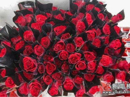 新電梯早新聞 3月3日，星期三，農(nóng)歷正月二十