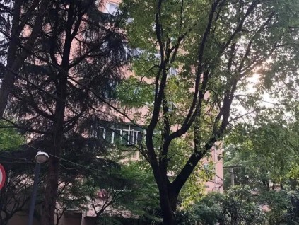 加裝電梯，給一樓準(zhǔn)備9萬感謝金！網(wǎng)友吵翻：該不該給底樓補(bǔ)償？