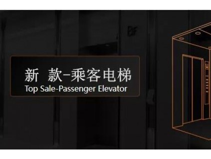 卓越新品，重磅發(fā)布 | 菱王電梯震撼“雙品”正式發(fā)布！