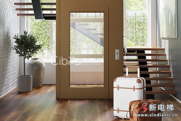 純凈北歐風(fēng)家用電梯精美地毯