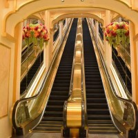 石家莊電梯 家用別墅復(fù)式電梯 室內(nèi)外觀光電梯免費(fèi)安裝