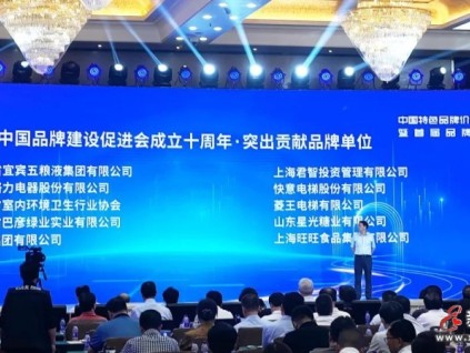 菱王電梯榮獲“突出貢獻(xiàn)品牌單位”榮譽(yù)，實(shí)力助推中國品牌建設(shè)