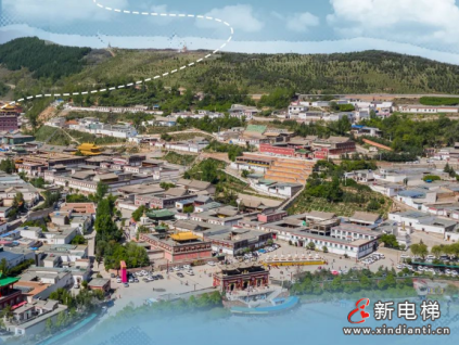 更穩(wěn)的守護(hù)｜西寧外貿(mào)新動能@菱王！