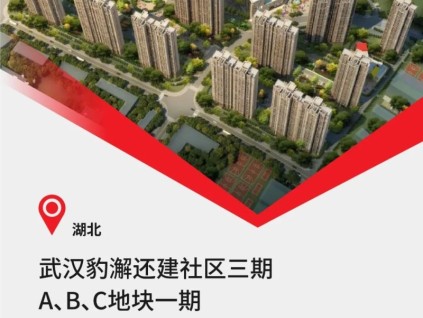 中建三局&40臺康力電梯，武漢重大民生工程！