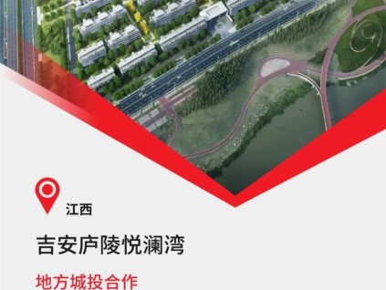 江西標(biāo)桿級智慧社區(qū)+99臺康力電梯！