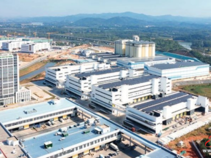 助力綠色農(nóng)產(chǎn)品入灣出海！美的客貨梯一體化方案打造高效垂直交通