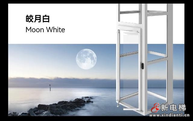 360截圖20241011174938304