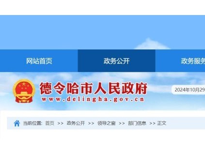 青海某德令哈市一公司電梯維?，F(xiàn)場工作人員少于兩人，被罰15000元