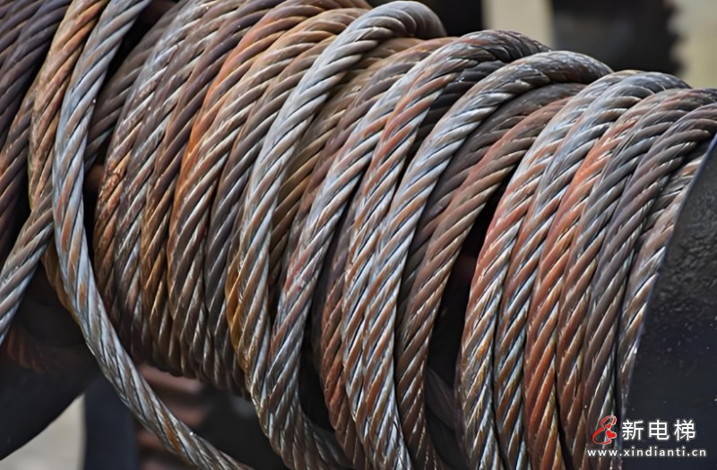 微信截圖_20241120103341