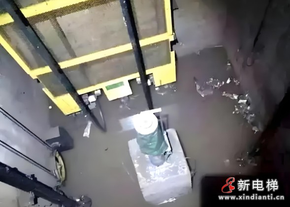 微信截圖_20241126100636