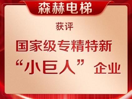 榮耀加冕丨森赫電梯獲評第六批專精特新“小巨人”企業(yè)稱號