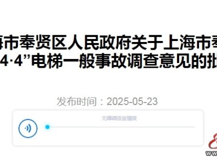 上海市奉賢區(qū)人民政府關(guān)于奉賢區(qū)"4·4"電梯一般事故調(diào)查意見的批復(fù)