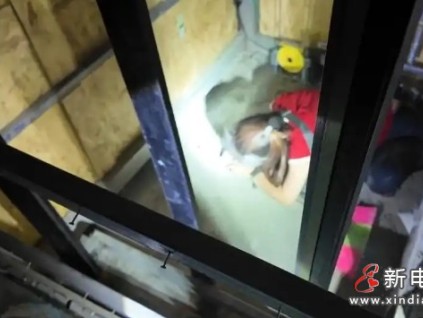 安徽蚌埠某別墅電梯一名女工在測試時(shí)轎廂突然下降被壓電梯轎廂底部