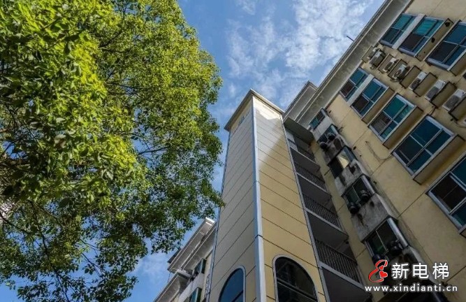 微信截圖_20250331100755