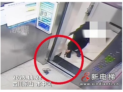 四川樂(lè)山一業(yè)主無(wú)心之失釀險(xiǎn)情 寵物繩卡電梯致急停！
