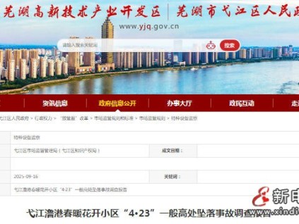 安徽蕪湖弋江澛港某小區(qū)“4.23”高墜事故 未佩戴安全護(hù)具，電動環(huán)鏈葫蘆吊鉤脫落