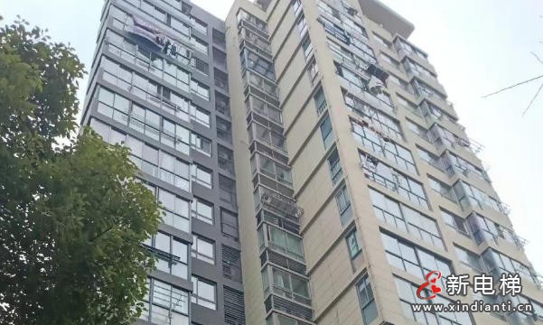 ScreenShot_2026-02-13_101510_636